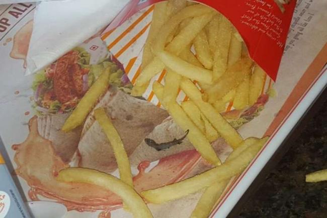 McDonald Tertimpa Kasus Cicak Goreng!